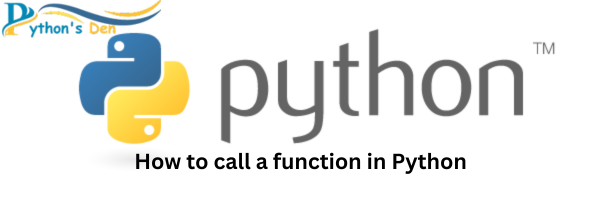 How to call a function in Python